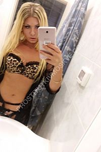 Лина, метро Студенческая